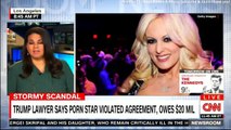 Panel on Trump lawyer says Stormy Daniels violated Agreement, Owes $20 Mil. #StormyDaniels #Trump