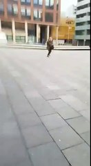 Hollanda Fırtınası | 18 Ocakta Hollanda daki Afet