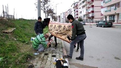 Ayağı Kırılan Atı İyileştirmek İçin Seferber Oldular