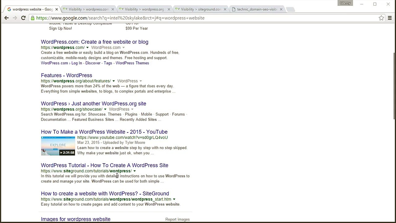 Complete wordpress SEO training course. On page and Off page SEO.- LESSON 6 - SEO Factors -  Domain SEO Visibility
