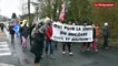 Marche à Brennilis. Une centaine d'opposants contre le nucléaire civil et militaire.