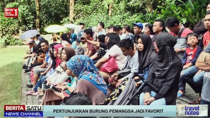 Taman Safari Atraksi Burung Pemangsa Dan Hornbirds Burung Setia