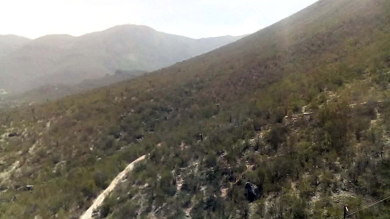 videooo