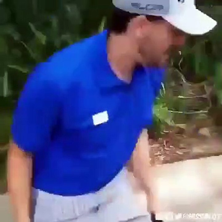 Bad bad snake