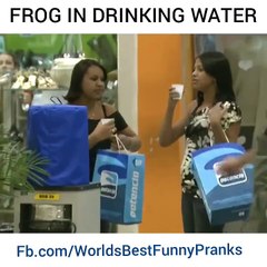 Frog in drinking water