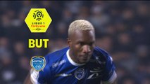 But Adama NIANE (47ème pen) / Amiens SC - ESTAC Troyes - (1-1) - (ASC-ESTAC) / 2017-18