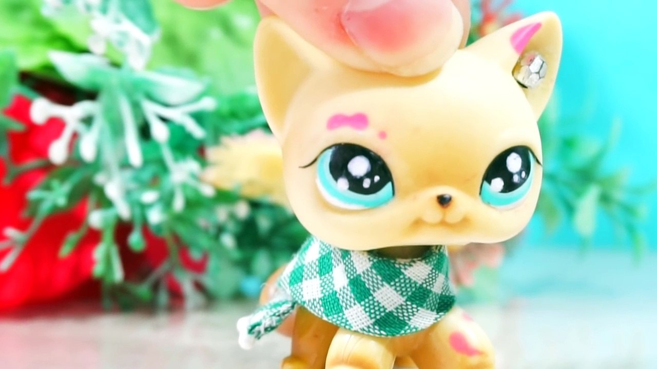 ♥ Littlest Pet Shop: L♡VE ID☆L!! (Episode#17 FINAL) ♥