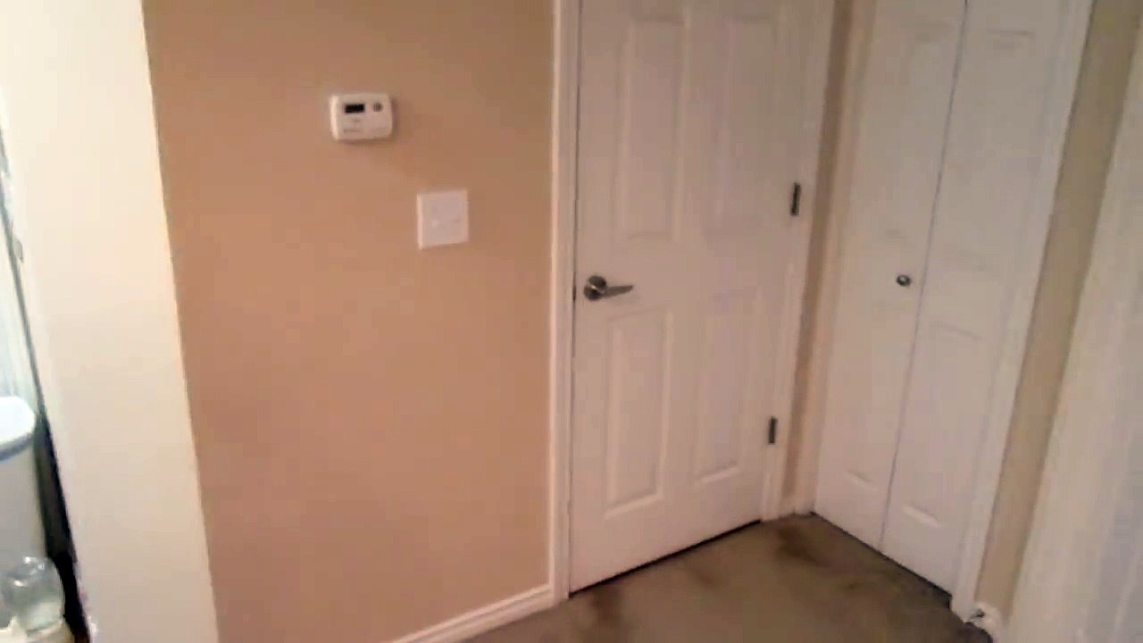 Aucune porte résiste à ce chat : il les ouvre toutes !