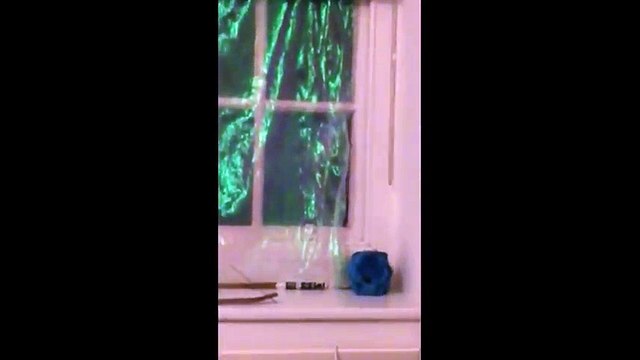 Déshabillé il essaye de rentrer dans une maison de nuit !