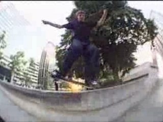 Habitat mosaic - anthony pappalardo