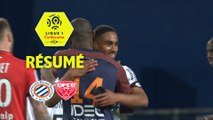 Montpellier Hérault SC - Dijon FCO (2-2)  - Résumé - (MHSC-DFCO) / 2017-18