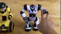 Robot Reviews | WowWee: Mini Robosapien & Mini Roborover | [4]