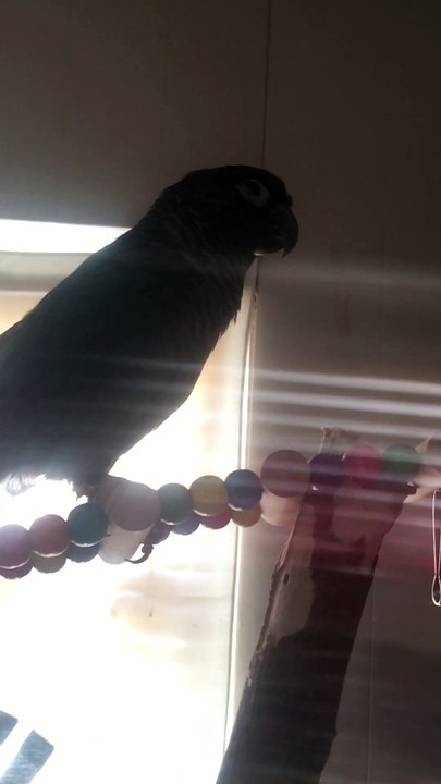 Green cheek weird behaivor
