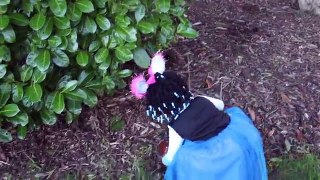 HUGE Easter Eggs Hunt with Frozen Elsa and Anna Disney Princess SURPRISE EGGS disney collector