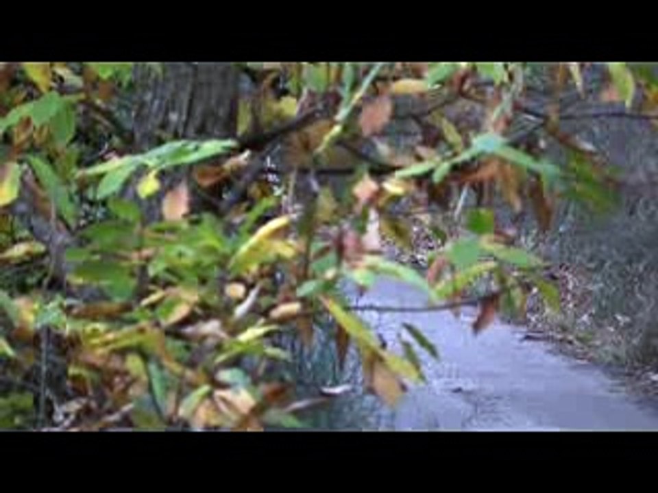 Grosse frayeur Porsche Dumas Maurice rallye du Var 2013