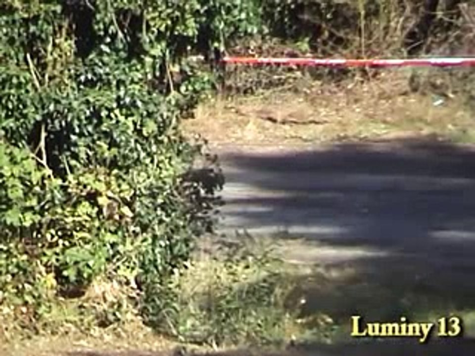 Guerlain Chicherit Rally Catalunya 2004 Citro n C2 Super 1600