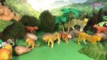 8 INCREDIBLE FACTS DEADLY BIG CATS ANIMALS SURPRISE TOYS 3D PUZZLES - Tiger Lion Jaguar