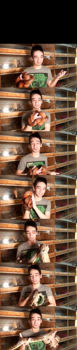 Какая змея самая любимая? Где беру деньги? Вопрос/Ответ