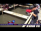 Menyulap Saluran Irigasi Menjadi Tambak Ikan, Panen Pertama Menghasilkan 4Kw NET24