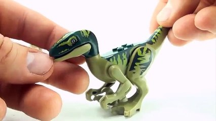 Descargar video: 8 lego dinosaurs from Jurassic world - Tyrannosaurus Velociraptor Indominus Rex Triceratops