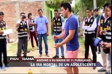La ira mortal de un adolescente: asesinó a su madre de 31 puñaladas