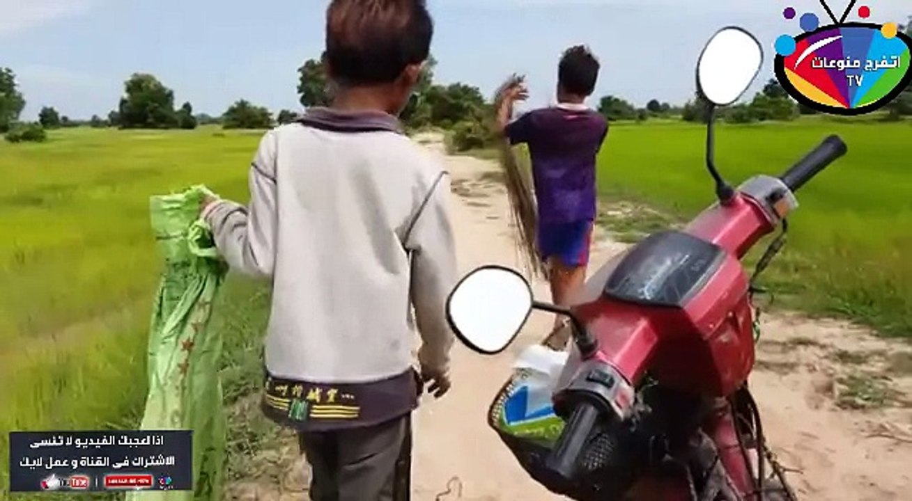 احبس انفاسك !! فخ ثعبان عملاق نصبه ولد صغير ولكن حدثت شئ غير متوقع ! شاهد ماذا حدث !