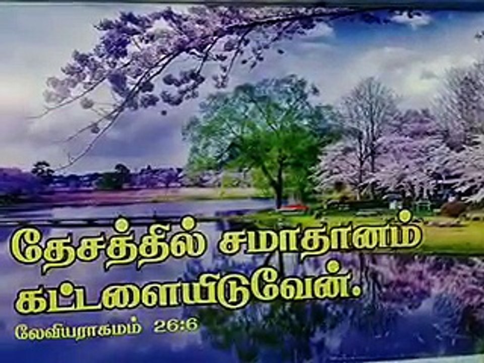 VIDEO0296