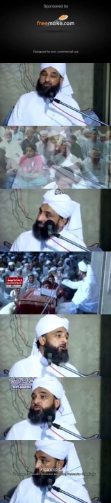 Allama Saqib Raza (36)