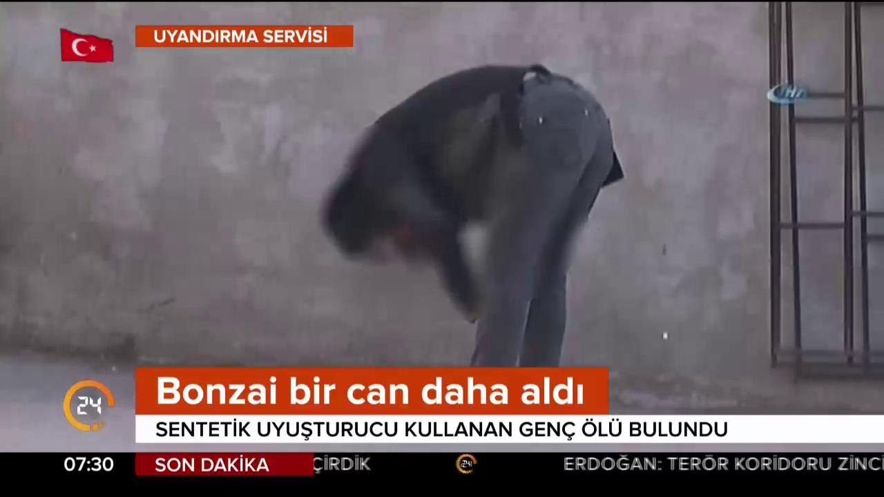 Bonzai can aldı