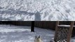 HUSKIES ARE SNOW HAPPY | #AskGTTSD 284 | Siberian Husky