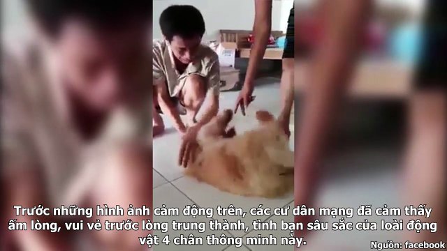 CHÚ CHÓ VÀ CHỦ BẬT KHÓC KHI GẶP LẠI SAU 1 NĂM XA CÁCH!