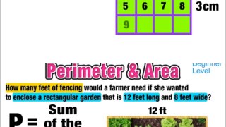 ☆ Find Area and Perimeter of a Rectangle in the Real World | Common Core Math