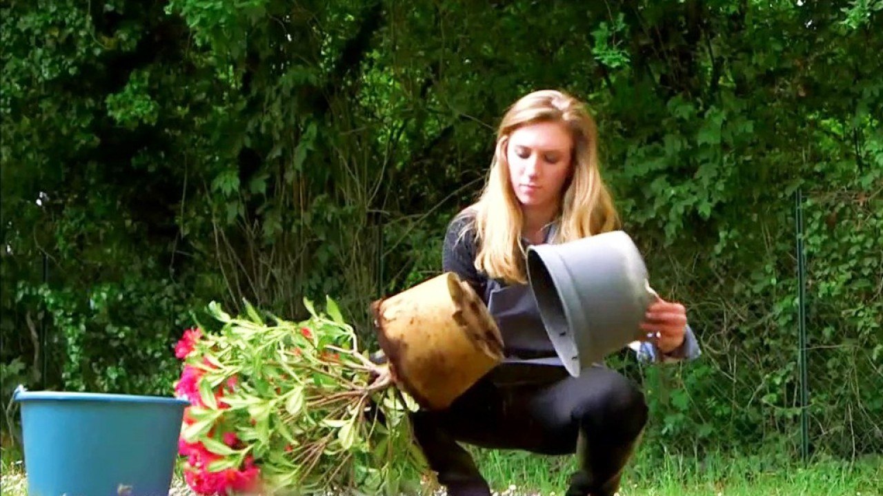 Jardin - Terreau : le sang de la terre