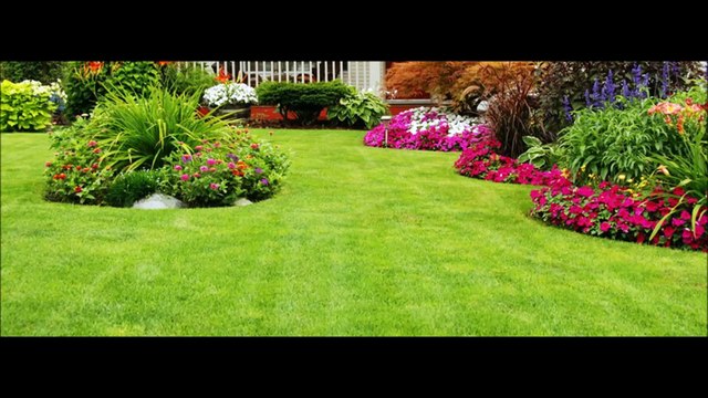 Fresh Look Landscapes-(507) 720-5551
