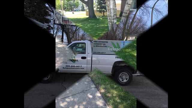 DelaPaz Landscaping and Tree Removal LLC - (847) 250-9640