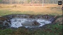 Coincé dans la boue ce bébé élephant est sauvé par une pelleteuse !