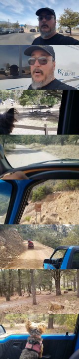 DEER! STEEP ROADS! BEAUTIFUL VIEWS!