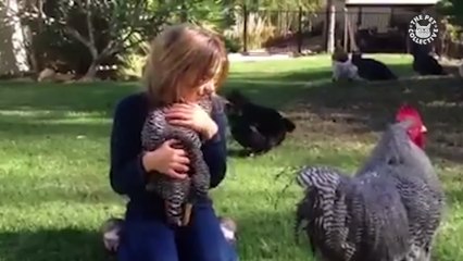 Best Pets of the Week Video Compilation - Week 2 March 2018