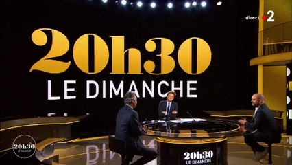 "20h30, le dimanche" : Laurent Delahousse perturbé par Michel Denisot