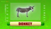 Donkey - Animals - Pre School - Animated Educational Videos For Kids