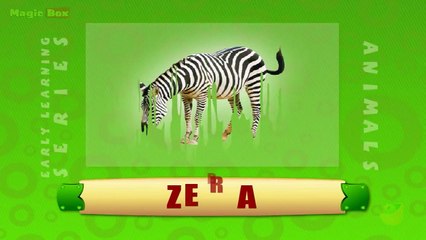 Zebra - Animals - Pre School - Animated Educational Videos For Kids