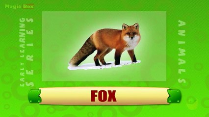 Fox - Animals - Pre School - Animated Educational Videos For Kids