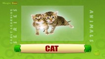 Cat - Animals - Pre School - Animated Educational Videos For Kids