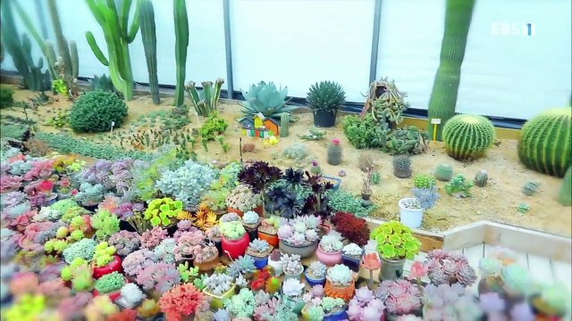 한국기행 - Korea travel_소확행 하신가요? 5부 우리 왕국으로 놀러오세요_#001