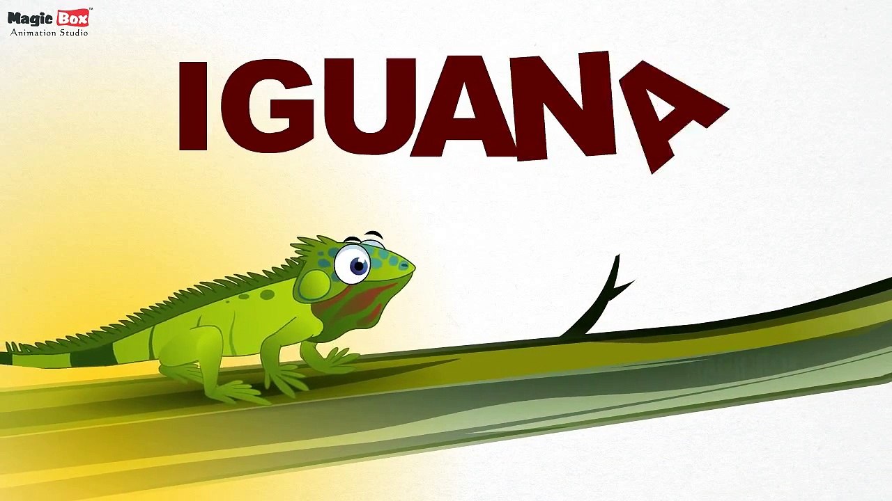 Iguana - Reptiles - Pre School - Learn Spelling Videos For Kids