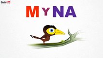 Myna - Birds - Pre School - Learn Spelling Videos For Kids