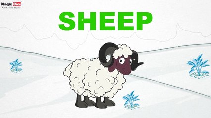 Sheep - Animals - Pre School - Learn Spelling Videos For Kids