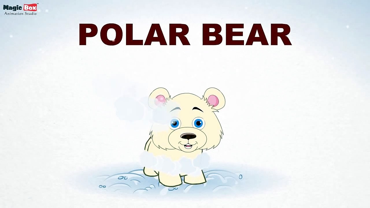 Polar bear - Animals - Pre School - Learn Spelling Videos For Kids
