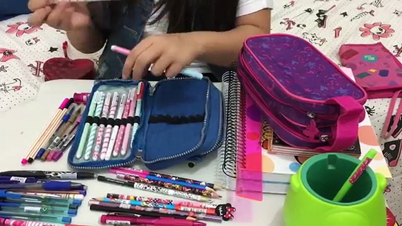 ARRUMANDO MEU MATERIAL ESCOLAR 2017