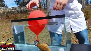 Balloon Popping Underwater (in Super Slow Motion!)
